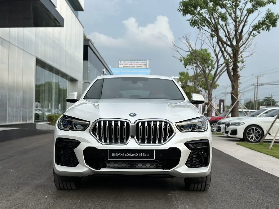 BMW X6